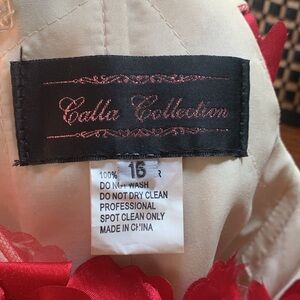 Elegant Red Floral Quince Dress